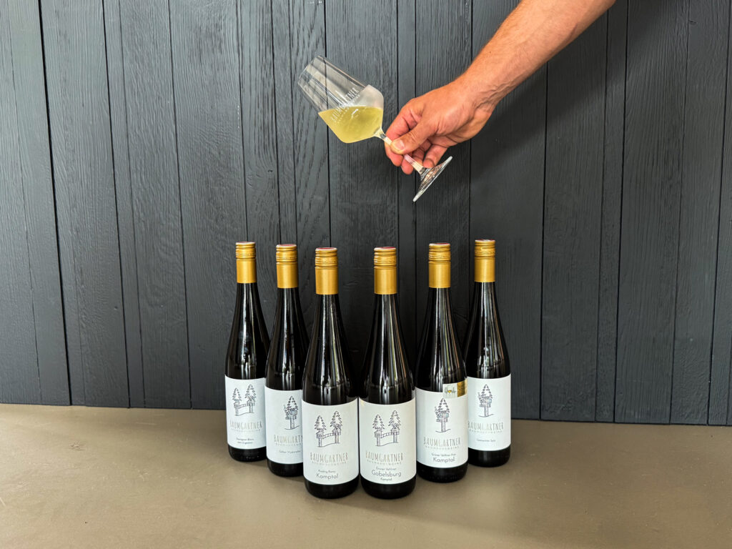 baumgartner 3 2 - Weingut & Heuriger Baumgartner